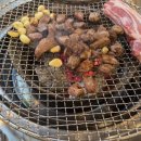 민들레화로