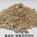 청솔식품 이미지