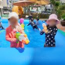 국제사바나유치원 네이버블로그