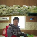 민건농장 KBS
