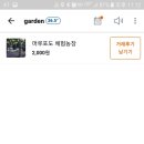 머루농장 이미지