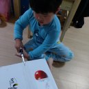 우주 농원 감홍 사과, 시나 노 골드