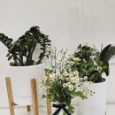 광교더샵파크공인중개사사무소 이미지