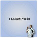 여수독채풀빌라여울바다