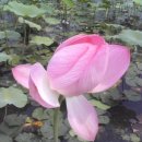 양서체육공원 이미지