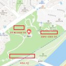 개나리 | 서울 봄꽃 명소 응봉산 개나리 축제 후기 ㅣ 코스 포인트 주차 총정리