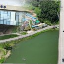 선산(양평) 이미지