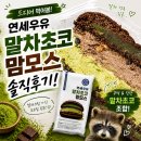연세우유 말차초코맘보스 비추후기 크림 느끼해요ㅜ! 기대대비 실망 ㅠ