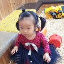 하이방방 이미지