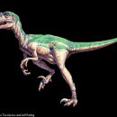 벨로시랩터 이미지