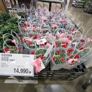 토담경로당 이미지