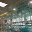 아이콕스(I-COX) 이미지