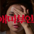 송당승마장 이미지