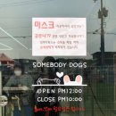 썸바디독스 이미지