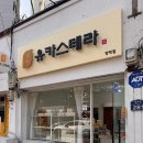 유카스테라 이미지