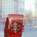 스타벅스 구로고척점 | 고척동 스타벅스 구로고척점 다이어트 음료 솔직 후기