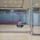 디스크 환자의 일기 :: 경막외신경성형술(M511)을 하고 나서