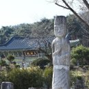 봄물결 한국일보