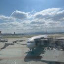 971 | 취리히 공항 → 방콕 타이항공 TG971 후기, 기대 안 했는데 의외로 좋았던 이유