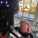 봄꽃햄스터 | 2026 4월 셋쨋주 일상 로그
