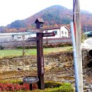내와분교 Daum카페