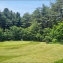 청태산그린 이미지