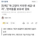 [단독] "개·고양이 키우면 세금 내라"…'반려동물 보유세' 검토 이미지