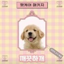 정관아이비어린이집 | 부산 세차 잘하는 곳 &#39;ABC스팀 세차장&#39; 정관점 후기