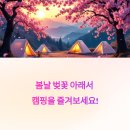 명당의 향기 | 벚꽃 아래 캠핑 가능? 봄날 벚꽃캠핑 명당은 여기!