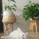 김대진동물병원 이미지