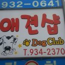 김포애견클럽 이미지