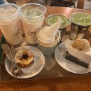 코타강쥐 이미지