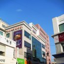 악쓰는하마 명품노래연습장 이미지