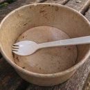 초중9길 | [증평] 증평 포케 맛집 + 뱃살도둑 샐러드 증평점 후기