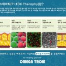 S라인에스테틱