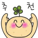 해남짬뽕 이미지