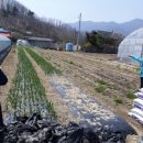 영구네농장 이미지