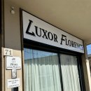 모텔피렌체 | [피렌체 호텔 후기] 가성비 좋은 호텔 룩소르 플로렌스