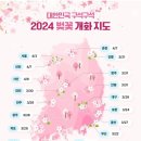 2024 전국 벚꽃개화 시기 이미지