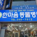 서울앤 동물병원 이미지