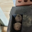 배가정원민박 이미지