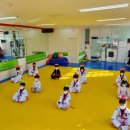 경희대 가온 태권도장 이미지