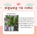 피제이커머스