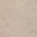 옥정 메타세콰이아길 이미지