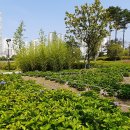 부산시민공원 이미지