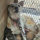 의성동물병원 이미지