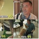 해운대구문화복합센터 이미지