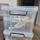 대덕 | 대전 아기 백일상 대여 후기(대덕구 육아종합지원센터)