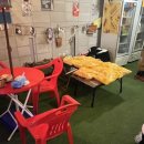 디지스도그 이미지