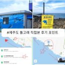 스테이서귀 | 제주도 돌고래 볼수 있는 CU 서귀영락해안도로점 스팟 위치 시간대 후기 돌고래 동영상